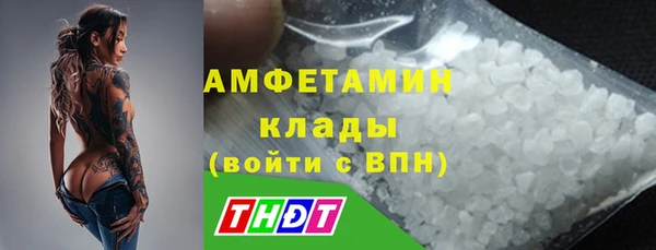 ГАЛЛЮЦИНОГЕННЫЕ ГРИБЫ Баксан