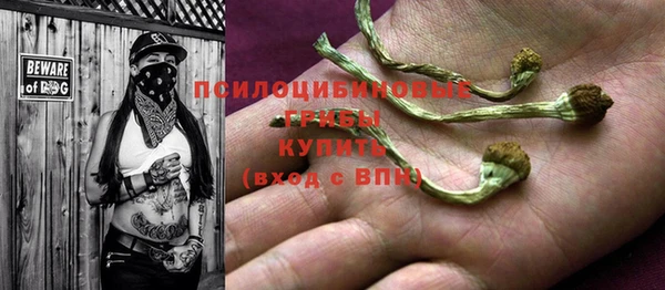 ГАЛЛЮЦИНОГЕННЫЕ ГРИБЫ Баксан