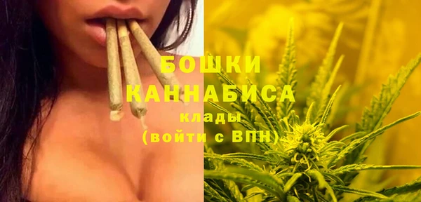 СК Аркадак